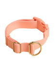 Pack Collar