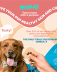Allergy Relief For Dogs