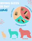 Allergy Relief For Dogs