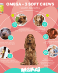Allergy Relief For Dogs