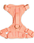 Huggie Harness