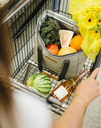 Dolphin Cooler Grocery Shopping Bag