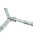 Roam Harness