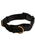 Marty Collar