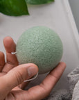Konjac Sponge