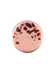 Chakra 1 Soy Candle with Red Jasper Gemstones