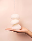 KONJAC ROOT SPONGE