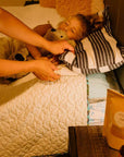 #314 Botanical Dream Pillows