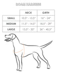 Roam Harness