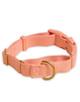 Marty Collar