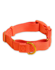 Marty Collar