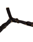 Roam Harness