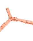 Roam Harness