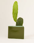 Cactus Bifold Wallet (Seaglass)