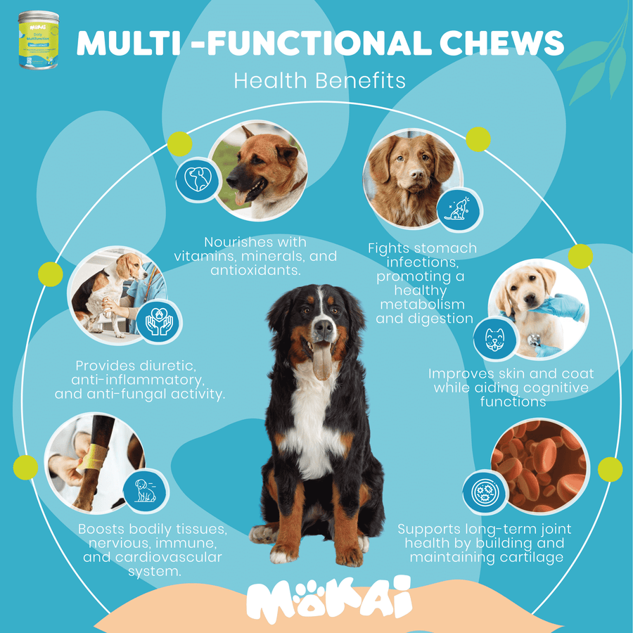 Multivitamins For Dogs